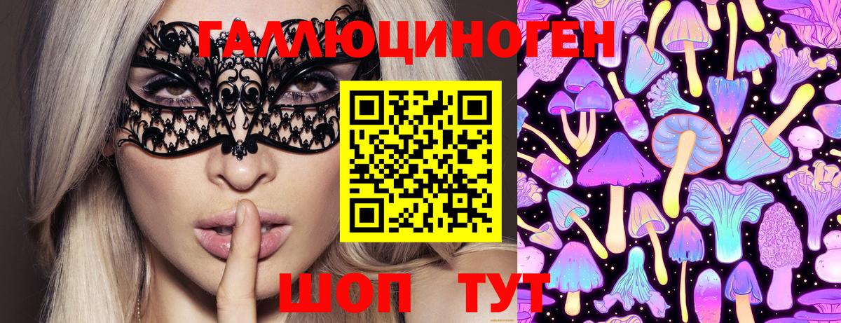 Галлюциногенные грибы Psilocybe Россия