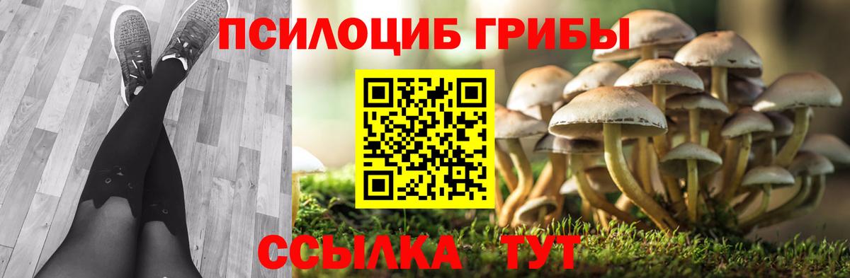 Россия  где купить наркотик  Галлюциногенные грибы мицелий  Вход с VPN  Галлюциногенные грибы ЛСД 